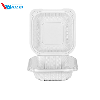 6-inch-white-pp-plastic-hinged-container